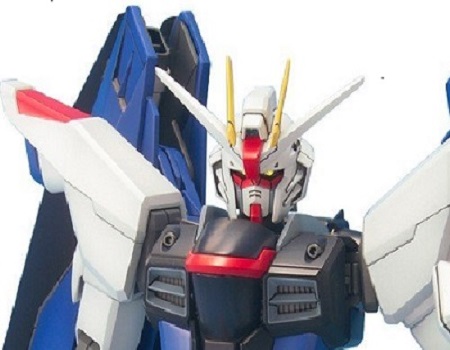 Gundam ZGMF-X10a Freedom Gundam MG 1/100 Scale